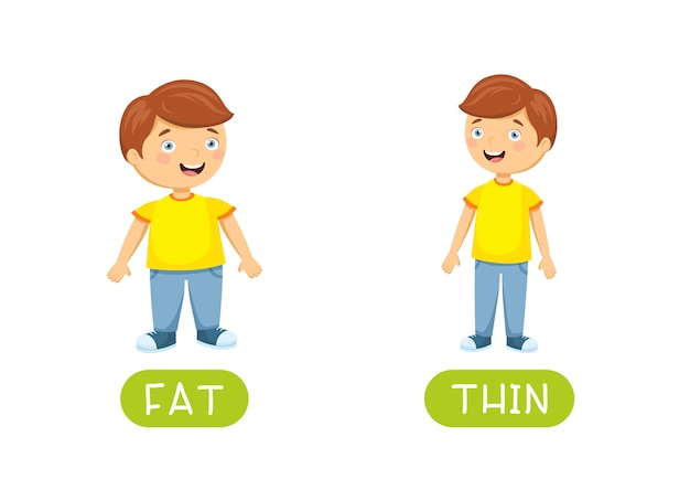 FAT en THIN antoniemen flashcard