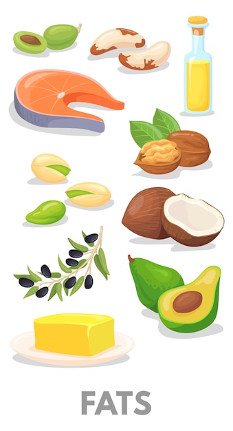 Fats healthy macronutrients chart Cartoon food icon