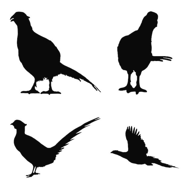 fazant silhouet illustratie Schetsen van vogels Vliegende en staande fazant