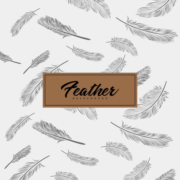 Feather background