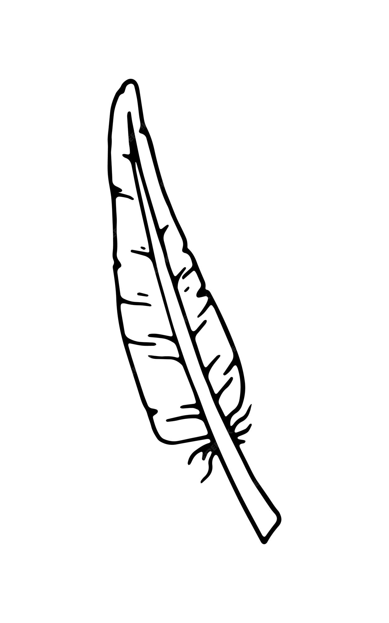 Premium Vector | Feather bird decoration doodle linear cartoon coloring book Premium Vector | Feather bird decoration doodle linear cartoon coloring book