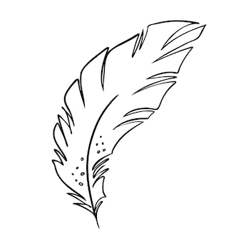 Piuma di uccelli silhouette piuma in bianco e nero per il set di vettore del logo