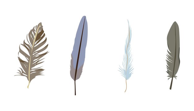 Vector feather clipart set of colorful feathers clipart isolated on a white background