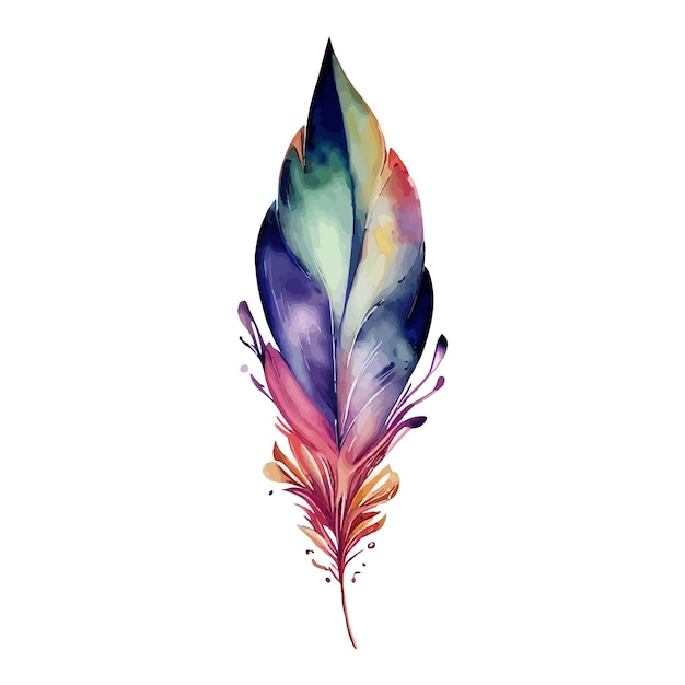 Feather Clipart Watercolor