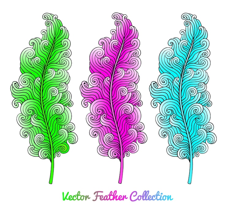Vector feather colorful collection