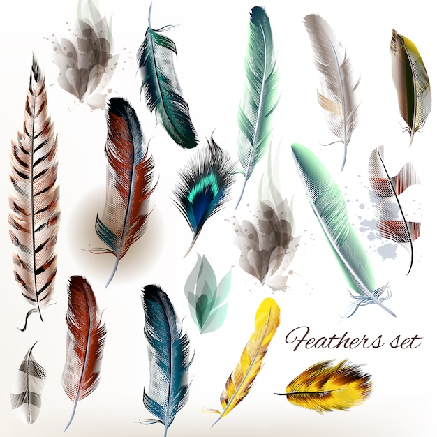 Feather designs collection