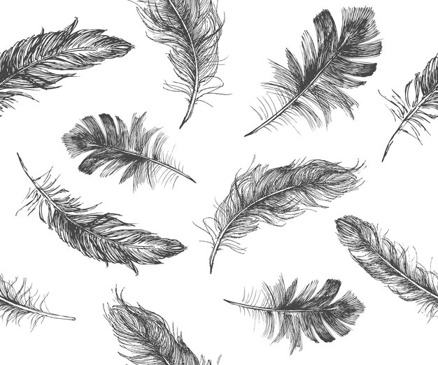 Feather icon set doodle sketchhand drawn illustration