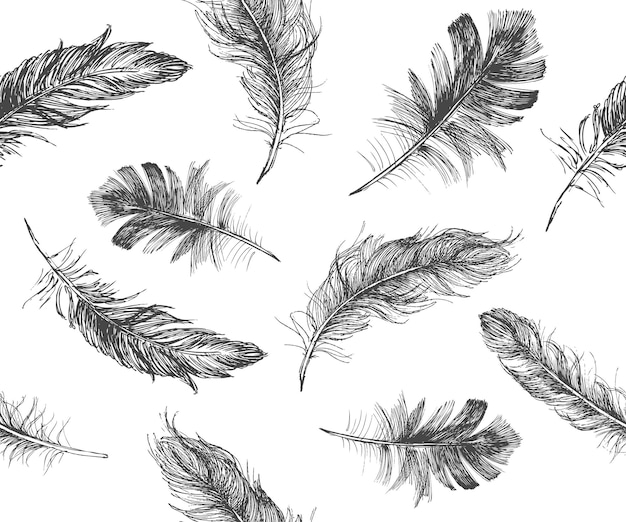 Feather Icon Set Doodle Sketchhand Drawn Illustration