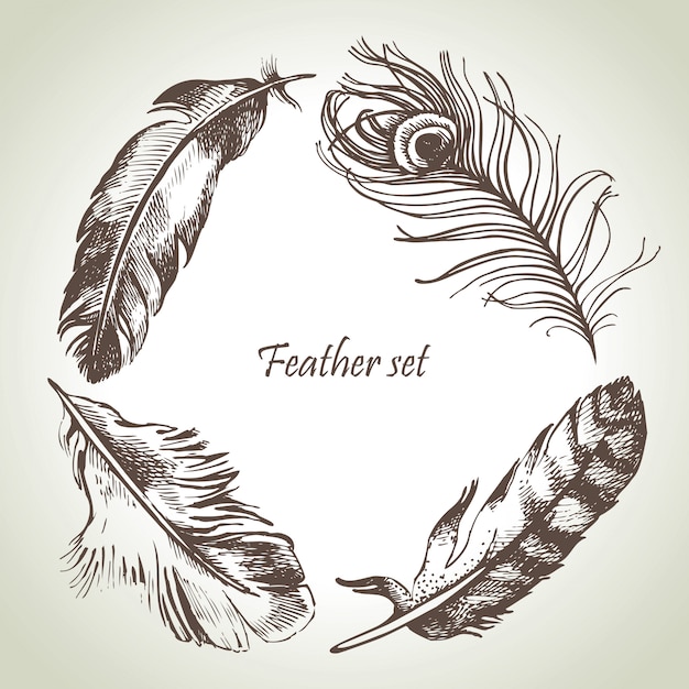 Feather set. Hand drawn illustrations