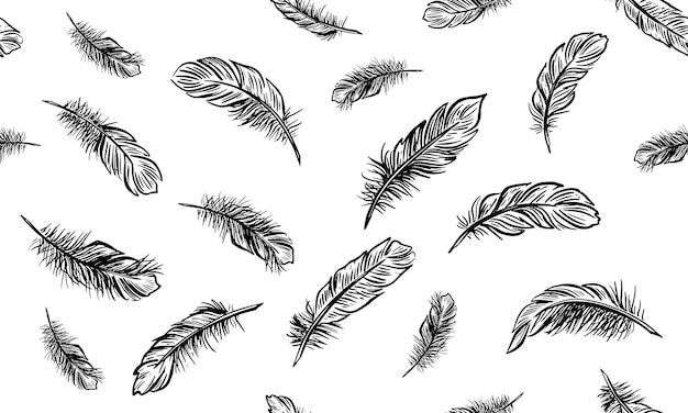 Feather set handgetekende illustraties