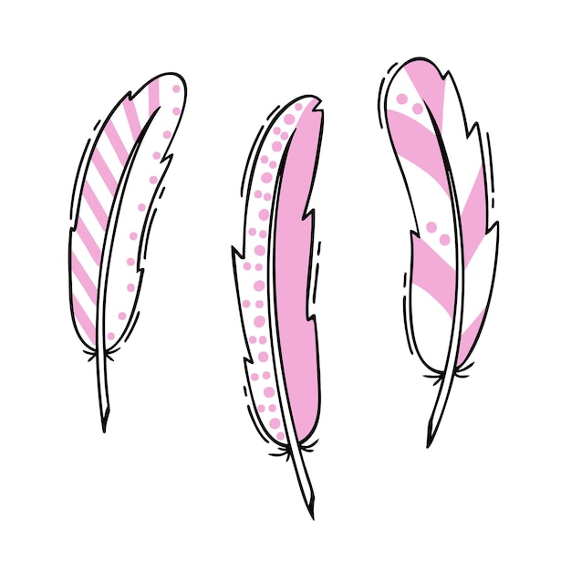 Feather set pink fluff hand drawn illustration