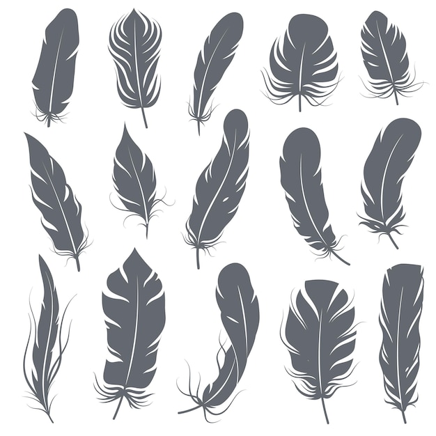 Vector feather silhouettes. different feathering birds, graphic simple shapes pen decorative elements, black elegant vintage sketch plume wings vector isolated set