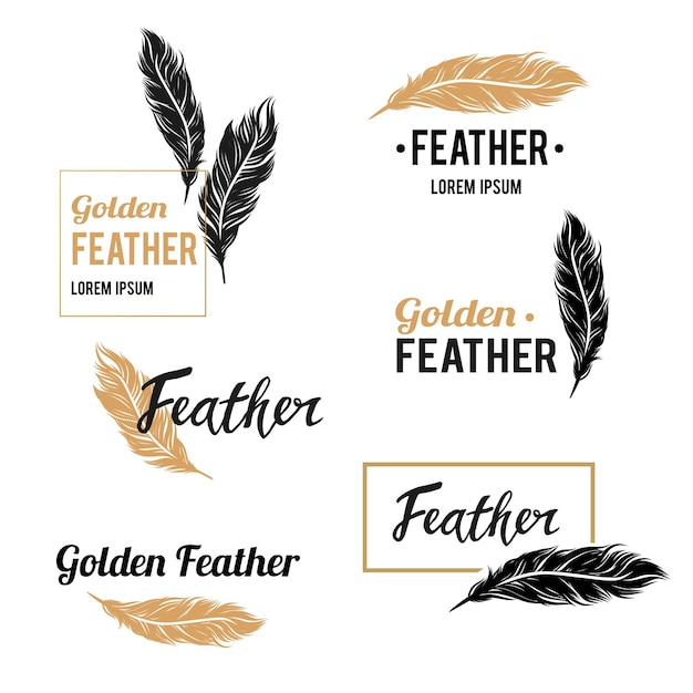 Feather symbols collection with golden design elements