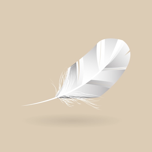 feather vector