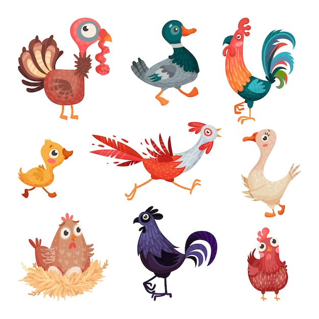 Feathered Farm Birds with Hen and Duck Vector Set