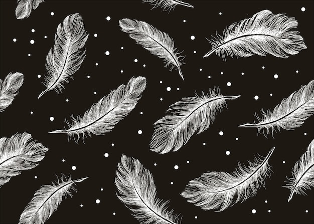 Feathers on black background. Hand drawn sketch style.	
