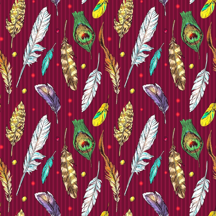 Vector feathers boho style