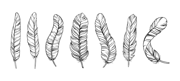 Feathers in boho vintage style. Set of tribal bird feathers isolated in white background