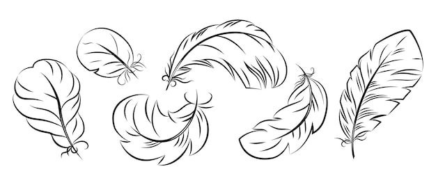 Feathers of different shapes, a set for coloring in the sketch style.