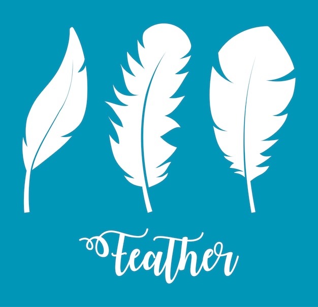 feathers icons over blue background