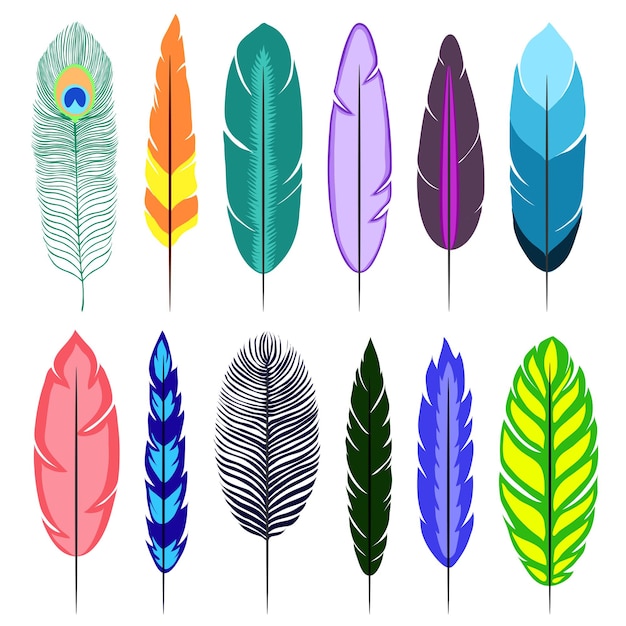 Feathers. Isolated icons on white background