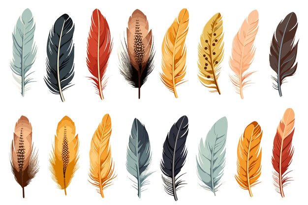 Vector feathers set watercolor stock illustration colorful tribal boho clip art for wedding decoration is