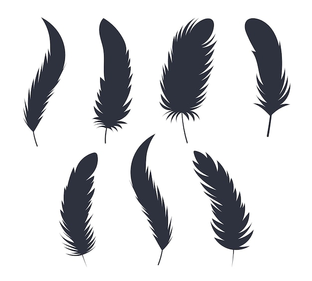 Feathers silhouette