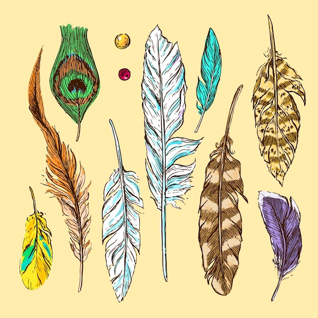 Vector feathers for you