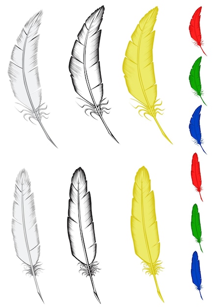 Feathers