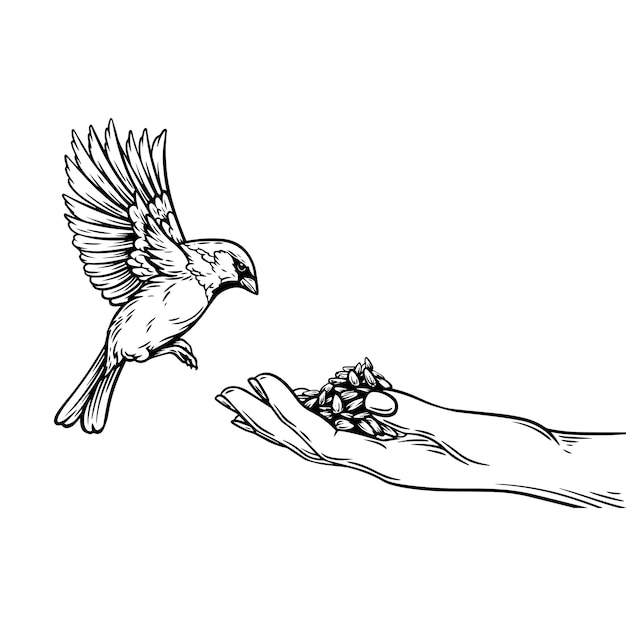 Feeding the bird with sunflower seeds from the palm