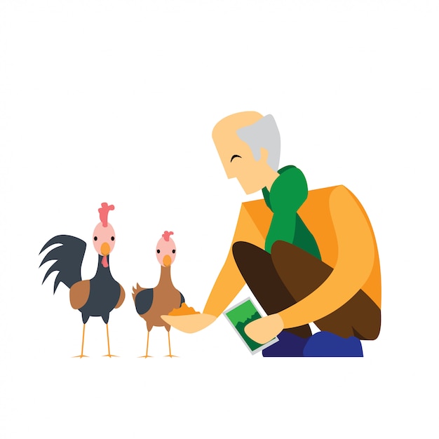 feeding chicken illustration