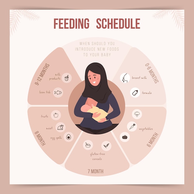 Programma di alimentazione nel primo anno di vita. infografica per alimenti per l'infanzia.