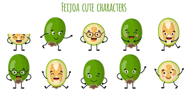 Vector feijoa fruit cute funny cheerful characters with different poses and emotions