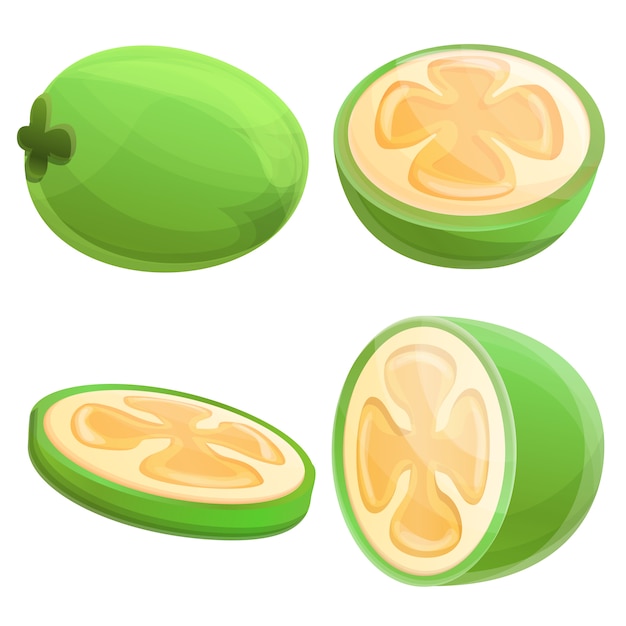 Feijoa set, cartoon style