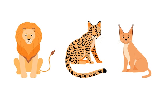 felid or wild cat as carnivore animal with lion and leopard vector set