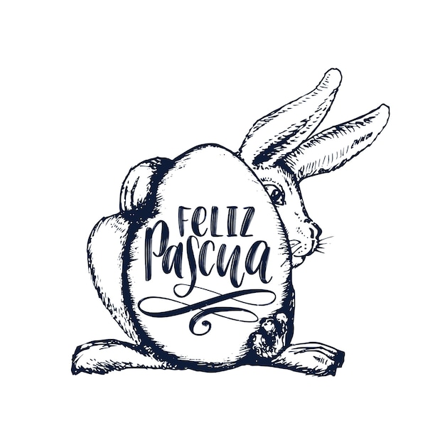 Feliz pascuaは、スペイン語の手書きフレーズhappyeasterをベクターで翻訳したものです。休日のポスターの白い背景の上のpaschal卵とバニーの描画イラスト、