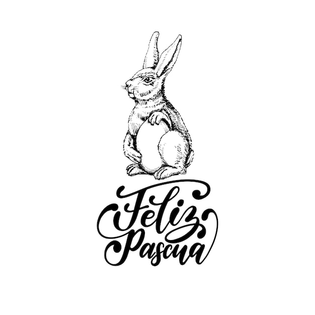 Feliz Pascua translated from Spanish handwritten phrase Happy Easter in vector. Drawn illustration of paschal egg and Bunny on white background for holiday poster,