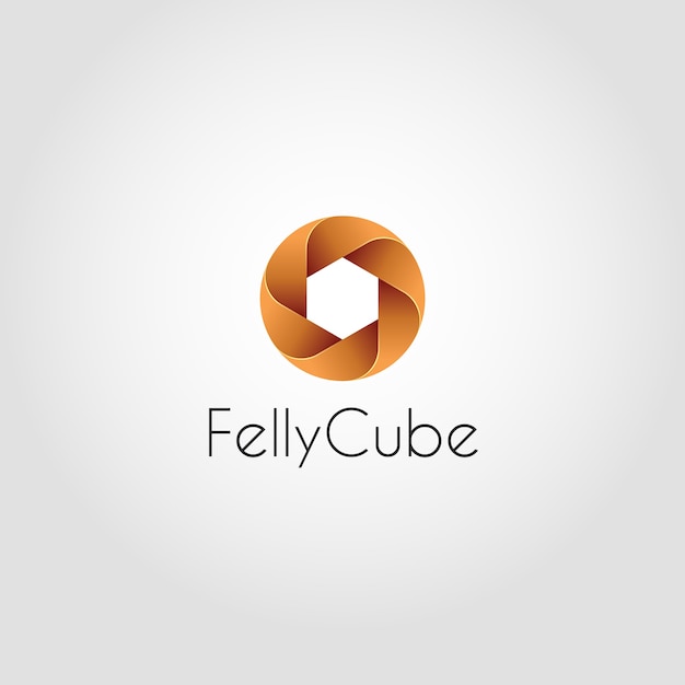 Felly cube - шаблон логотипа с абстрактным кругом