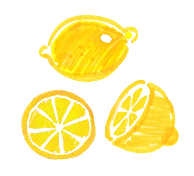 Vector felt pen childlike drawing of lemon