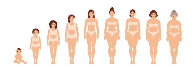 Vector female anatomy of different ages vector