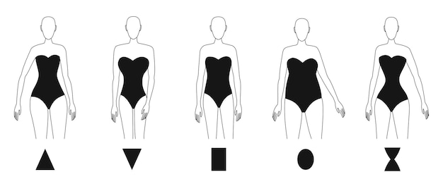female body anatomy types
