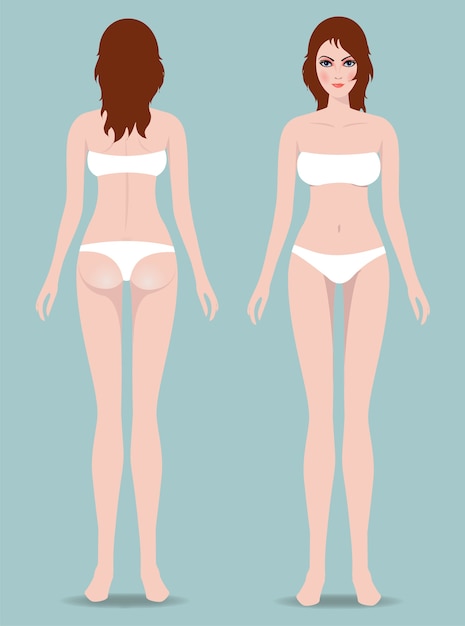여성의 몸 앞뒤. 사진은 여성의 신체 비율을 보여줍니다.