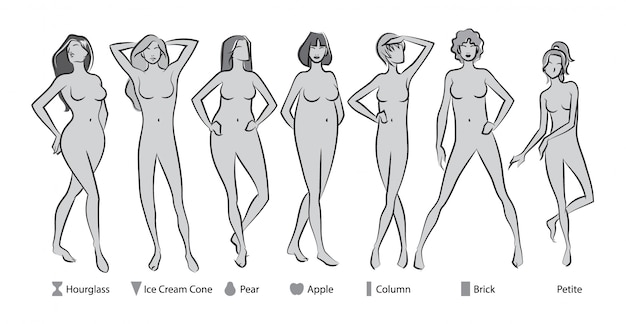 Vector female body shapes