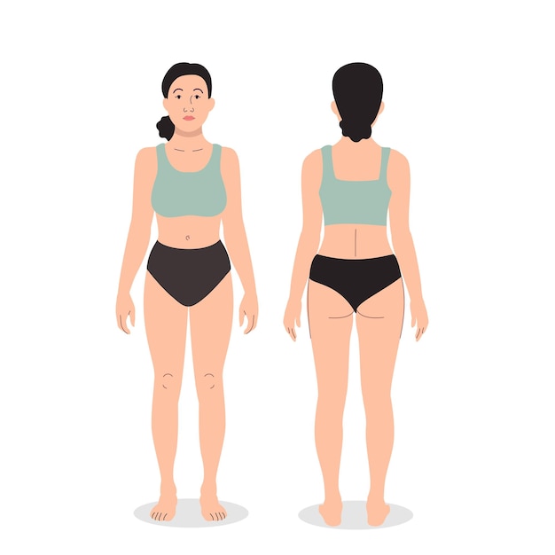 女性の体のテンプレートの前面と背面