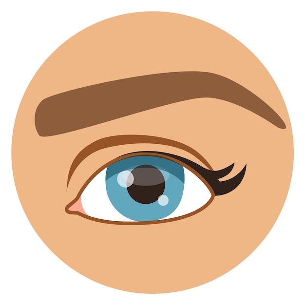 Female eye Human vision round icon Anatomy symbol