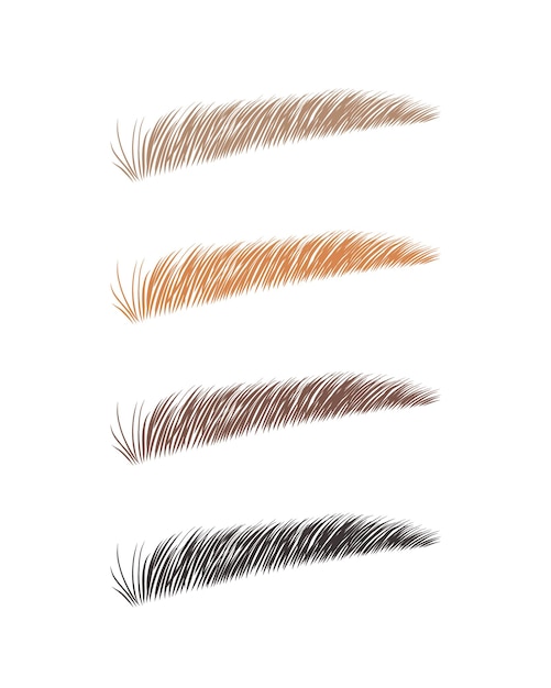 Vector female eyebrows in various colors blonde red and dark hair sable style brows shapes