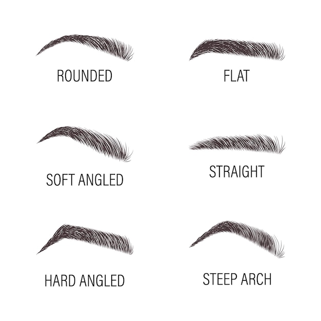 Vector female eyebrows various forms and types arch brows shapes
