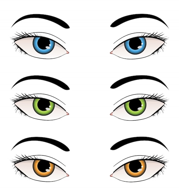 Vector female eyes illustration