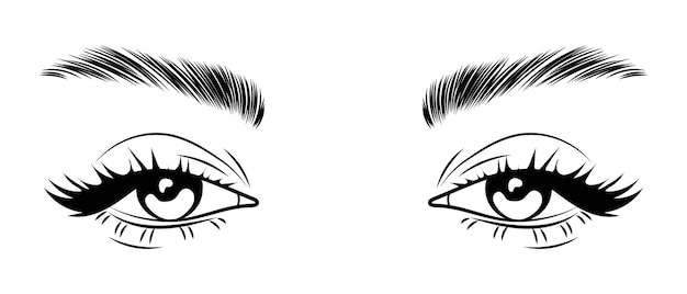Female eyes with long eyelashes and eyebrows Female languid look Beauty logo illustration vector