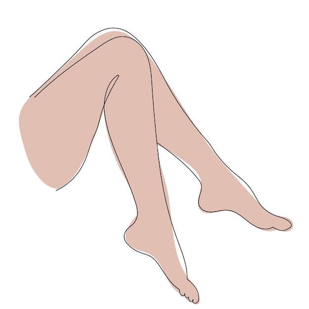 Female feet line drawing vector, isolated